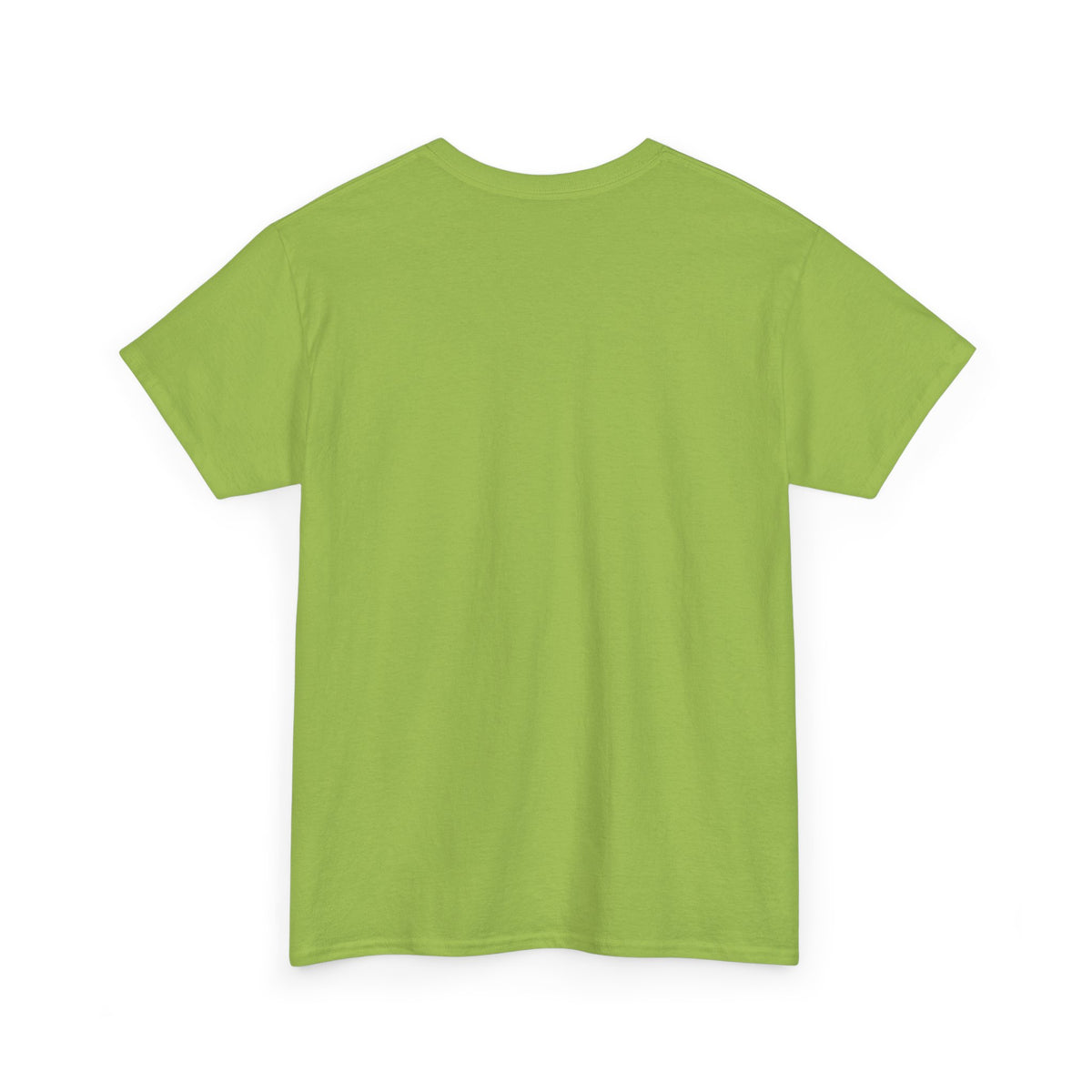 Please Do Not Disturb Cat T-Shirt — Cute Sleeping Cat Tee for Cat Lovers