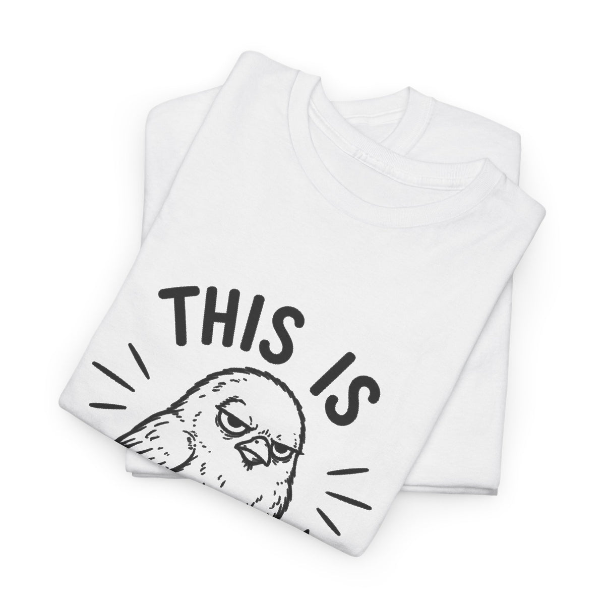 This Is For The Birds T-Shirt — Funny Grumpy Bird Illustration Tee
