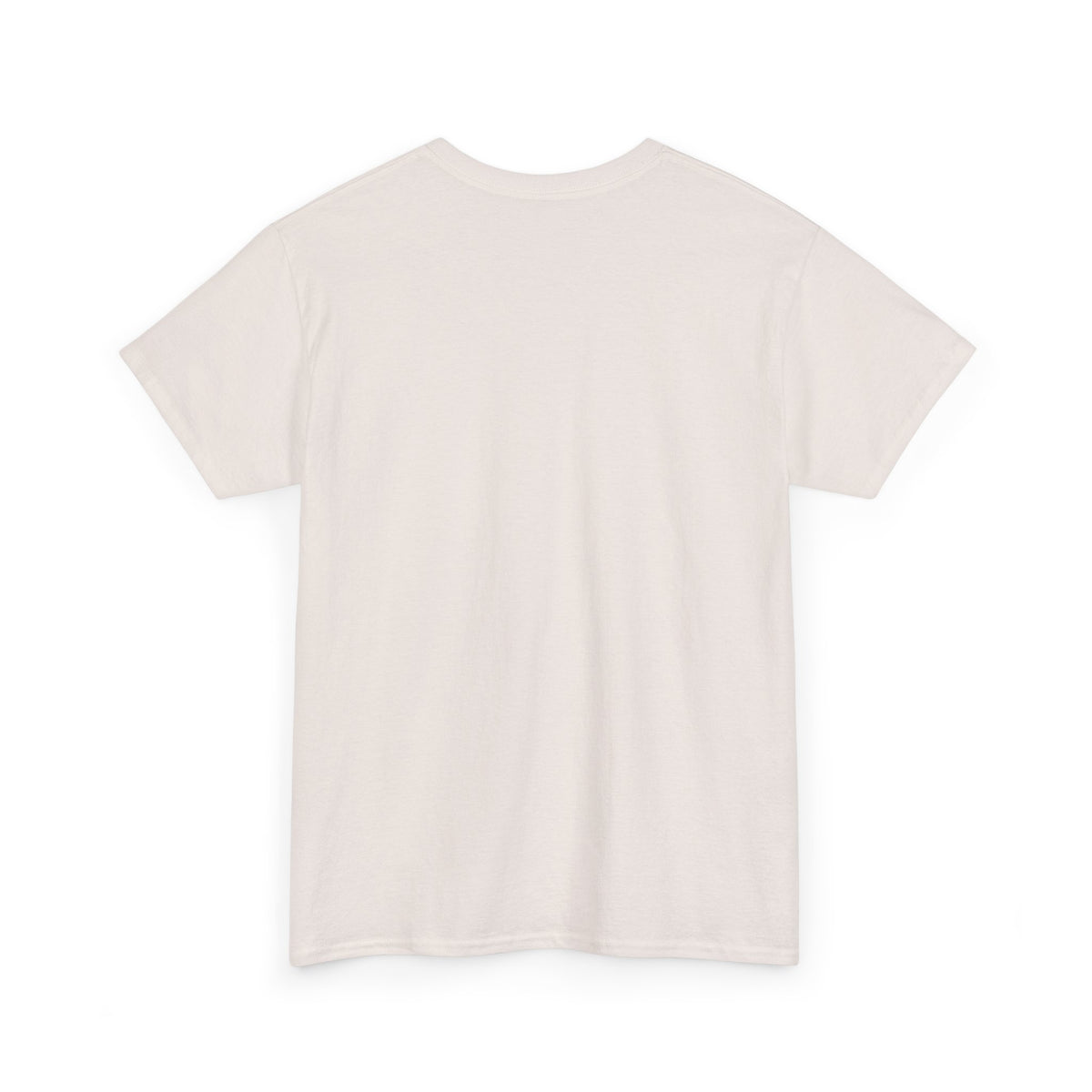 Please Do Not Disturb Cat T-Shirt — Cute Sleeping Cat Tee for Cat Lovers