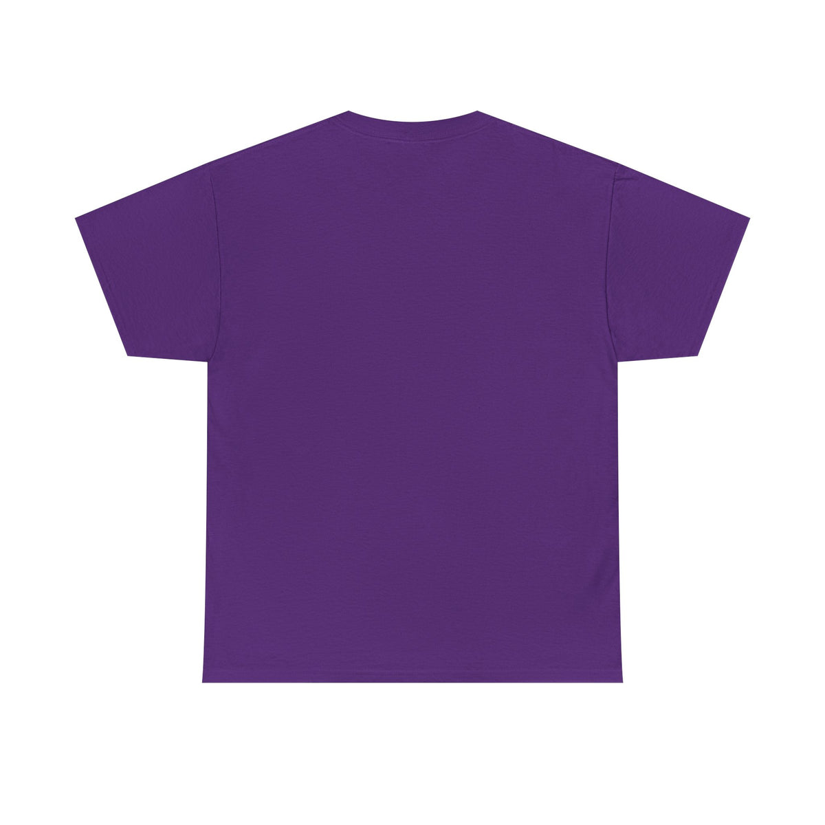 Birds of the Household T‑Shirt — Vintage Songbird Graphic Tee
