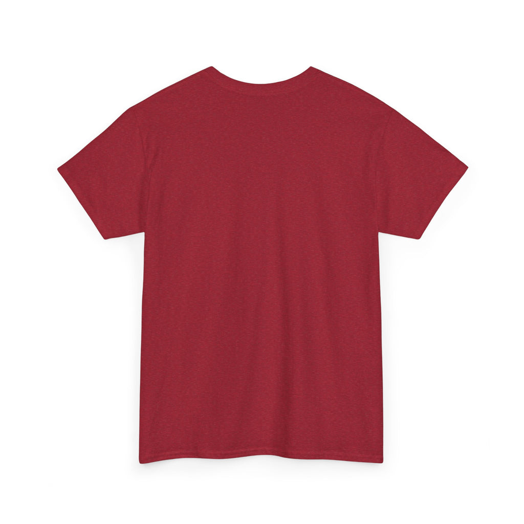 Will Cancel Plans for Birds T-Shirt — Cute Birdwatching Tee for Nature Lovers