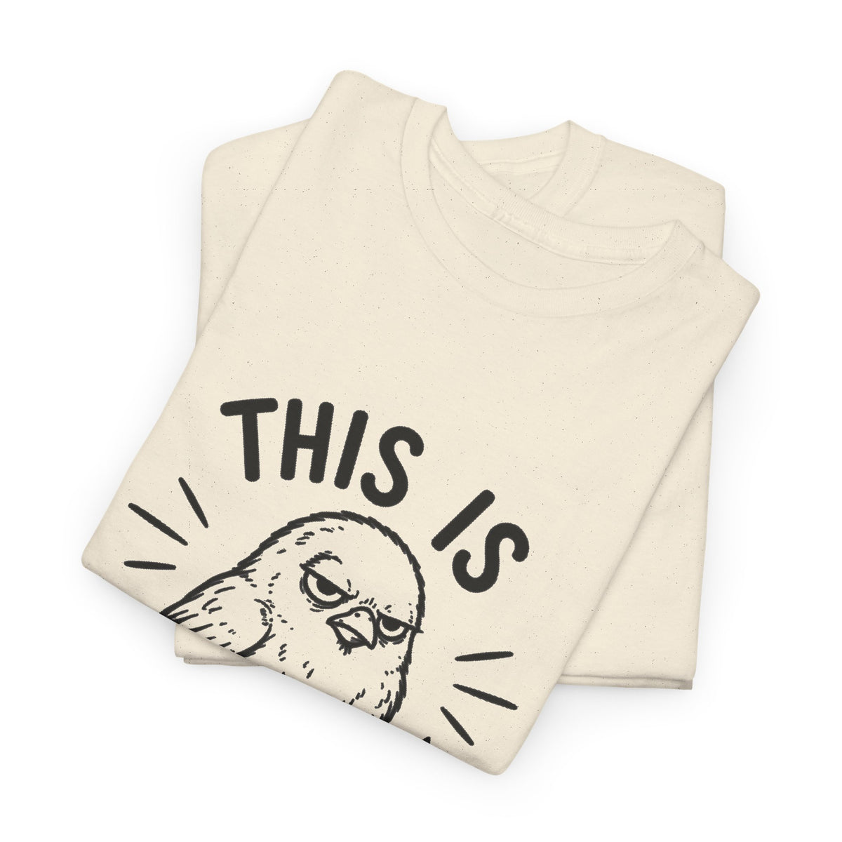 This Is For The Birds T-Shirt — Funny Grumpy Bird Illustration Tee