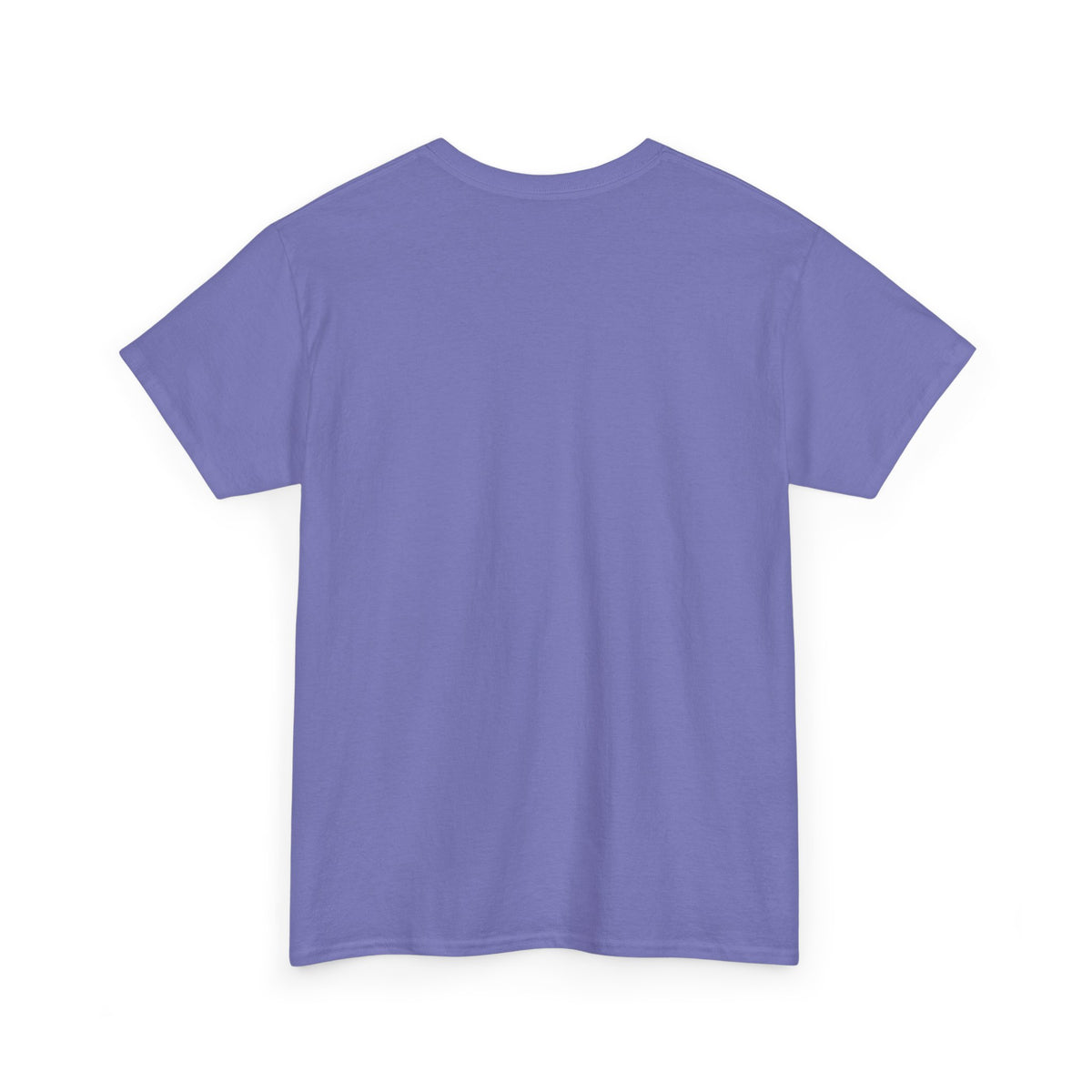Bird Graphic Tee — “Be Kind. Be You. Beak You.” Cute Minimalist Bird T‑Shirt