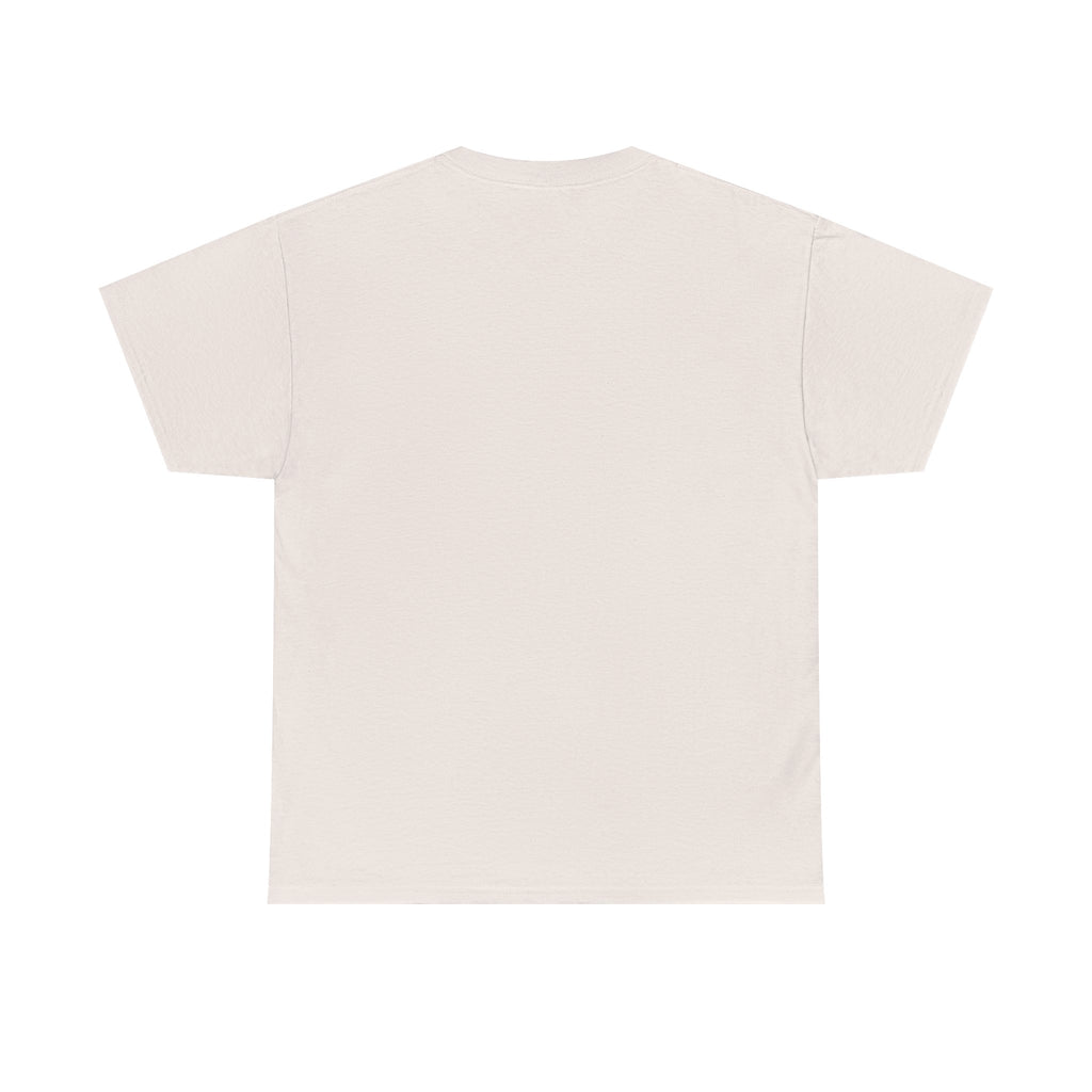 Please Do Not Disturb Cat T-Shirt — Cute Sleeping Cat Tee for Cat Lovers