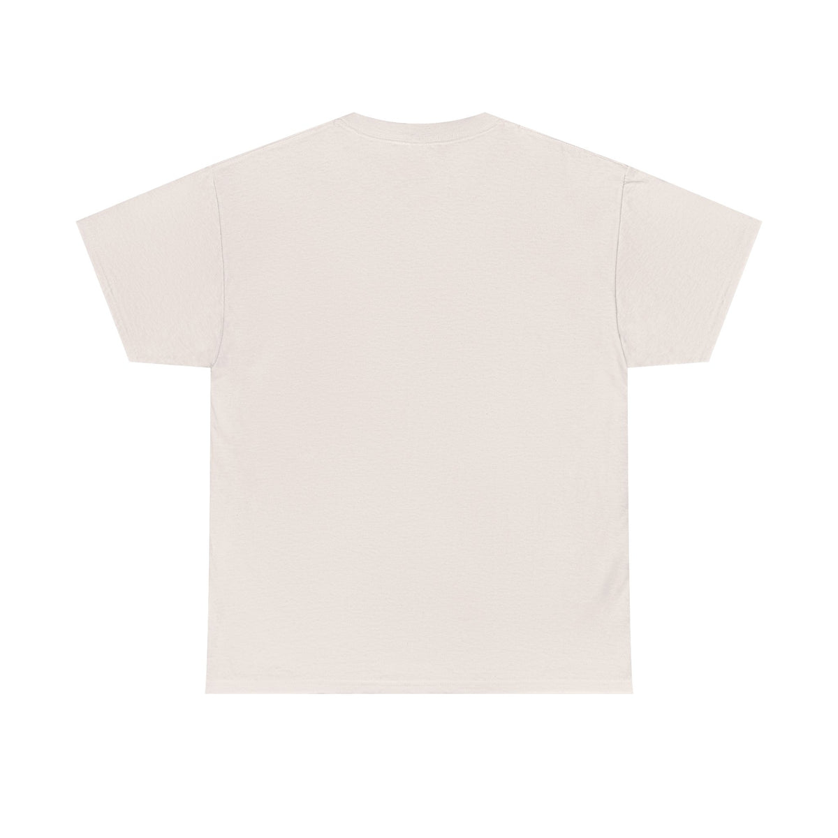 Please Do Not Disturb Cat T-Shirt — Cute Sleeping Cat Tee for Cat Lovers