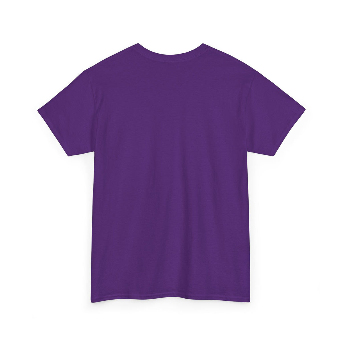 Birds of the Household T‑Shirt — Vintage Songbird Graphic Tee