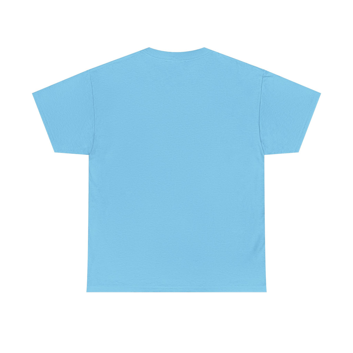 Patriotic 'Land of the Free, Home of the Birds' T-Shirt