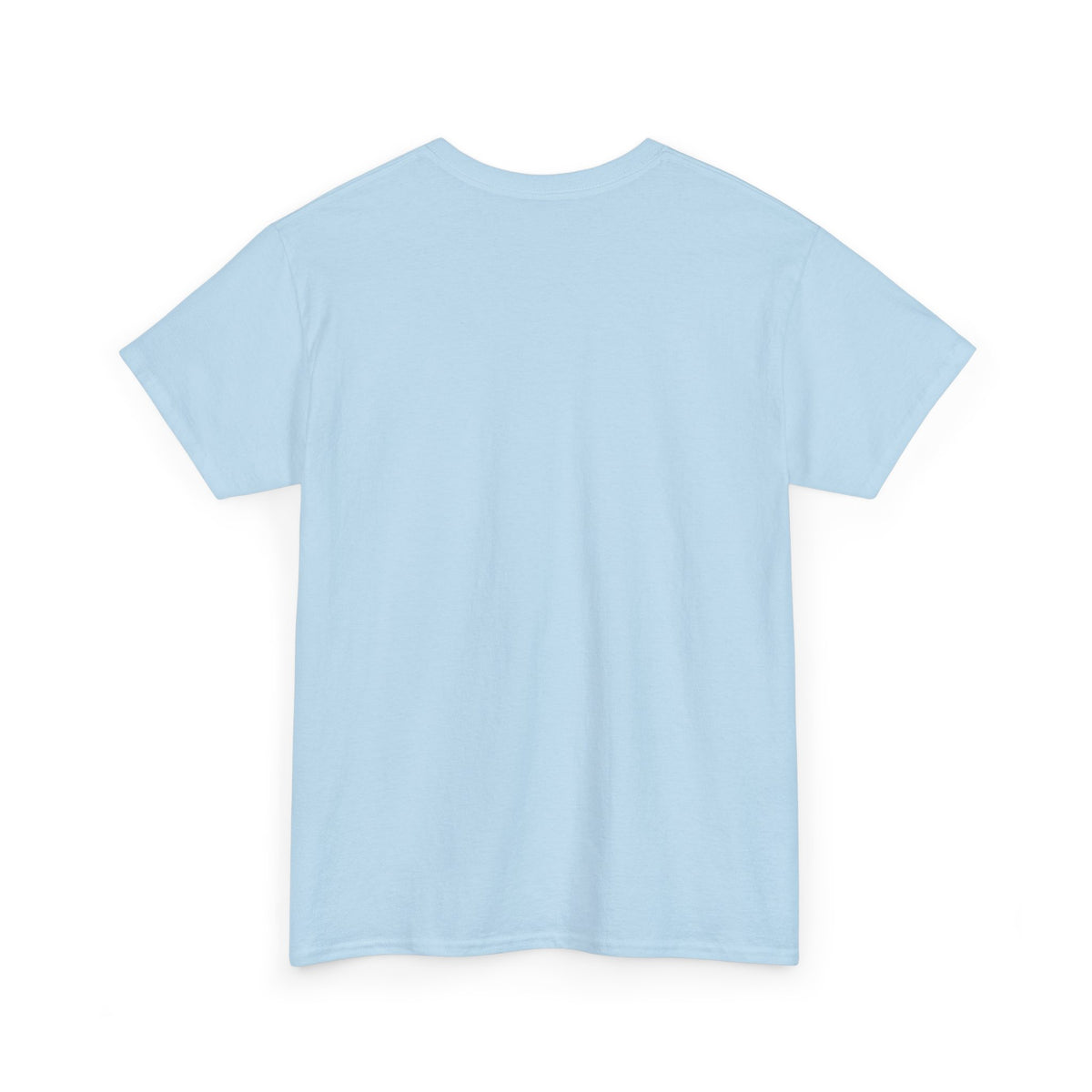 Please Do Not Disturb Cat T-Shirt — Cute Sleeping Cat Tee for Cat Lovers