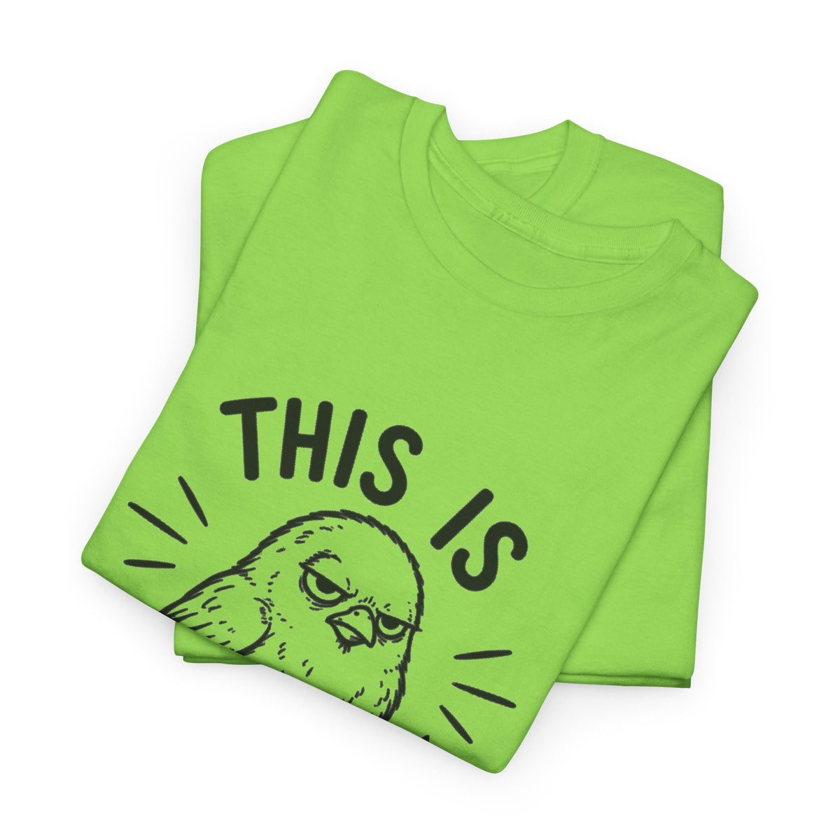 This Is For The Birds T-Shirt — Funny Grumpy Bird Illustration Tee