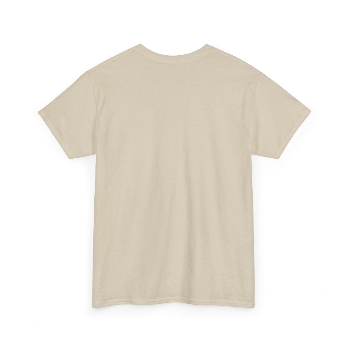Please Do Not Disturb Cat T-Shirt — Cute Sleeping Cat Tee for Cat Lovers